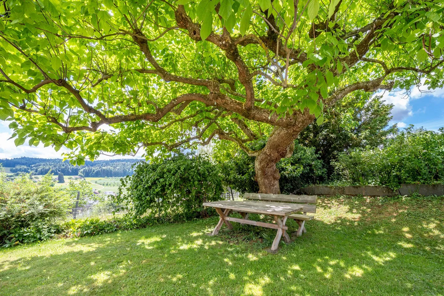 Wunderschönes Einfamilienhaus mit Aussicht - Foto 1 von 14