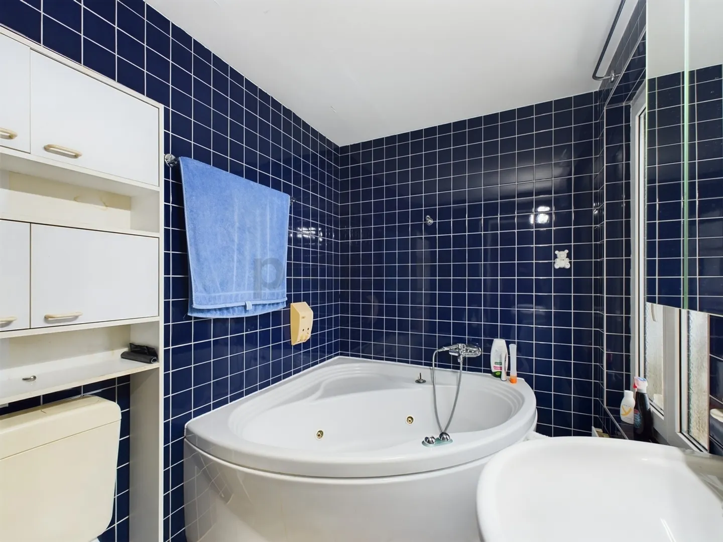 Exclusive single-family house in a quiet forest edge location with lake view and garden - Photo 8 of 12