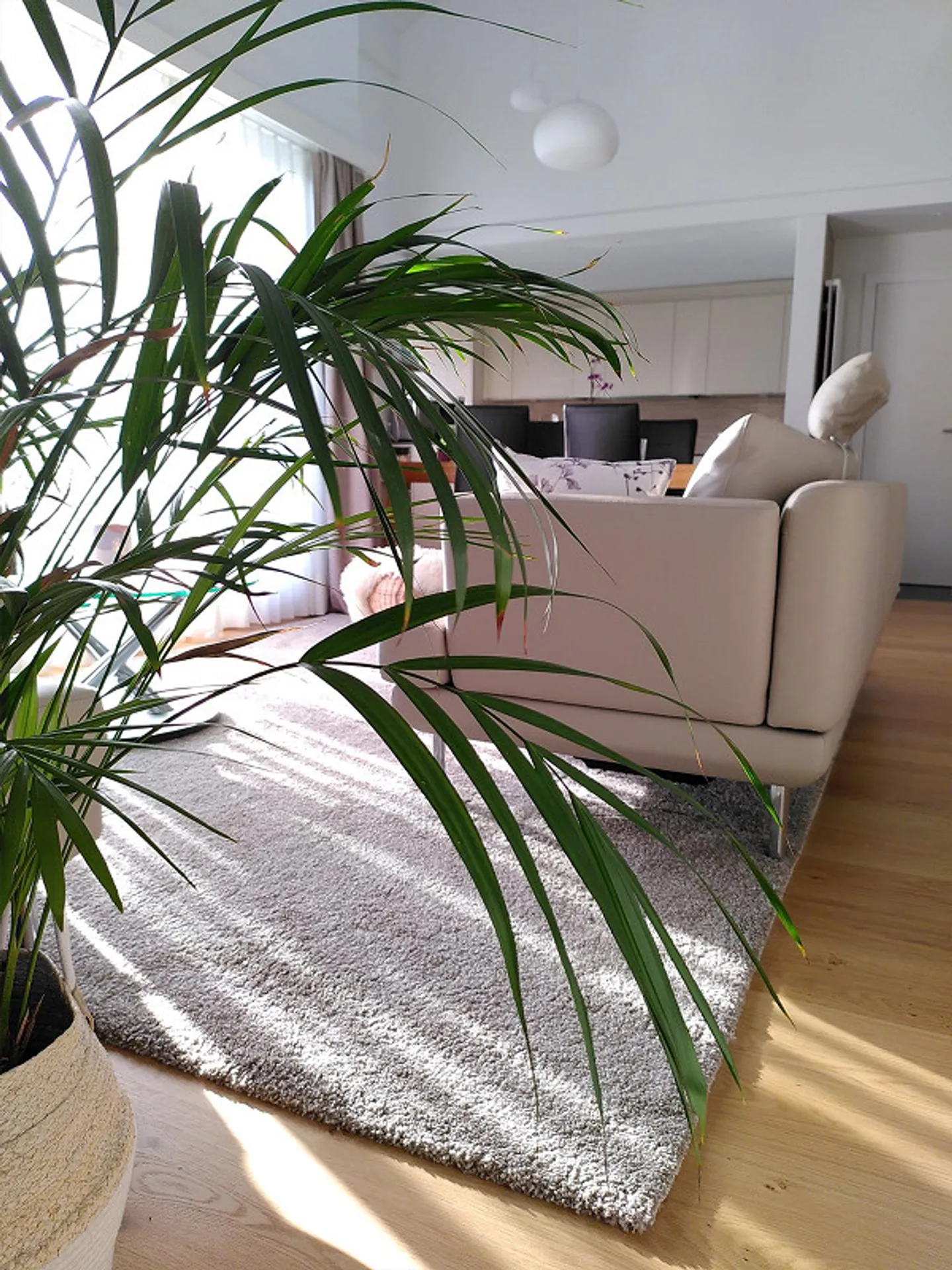 Charming 5.5-room maisonette apartment between Zug and Lucerne - Photo 4 of 6