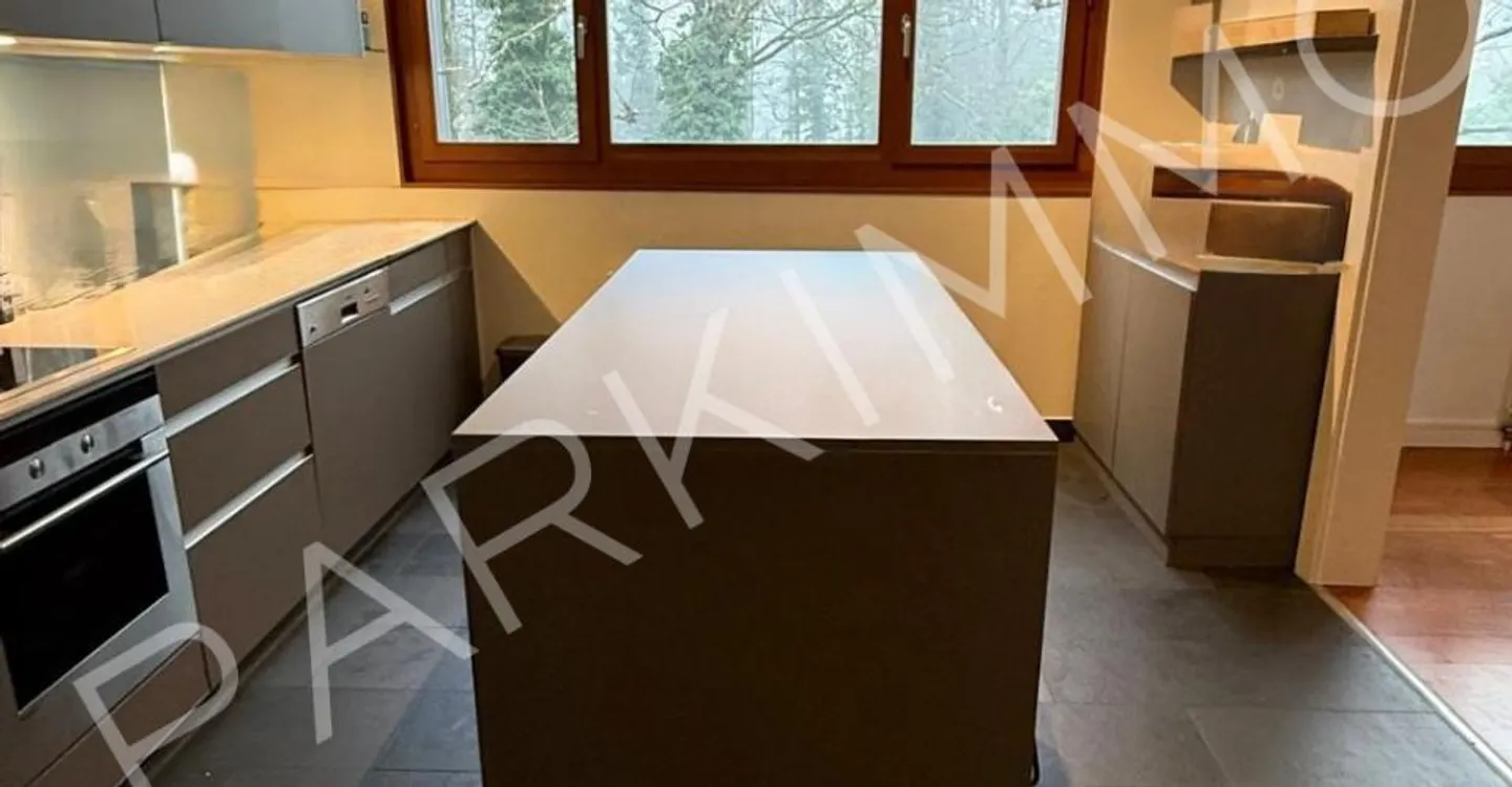 Luxury Duplex in Cologny - Photo 3 of 6