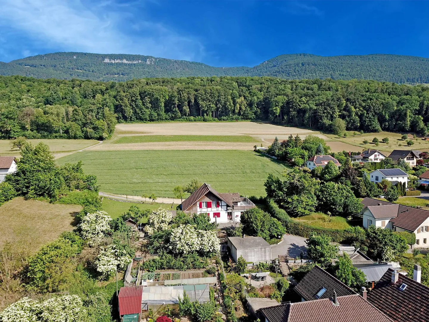 Hauteurs du Jura et panorama alpin – Vivre avec vue à Niederbipp BE - Photo 4 sur 11