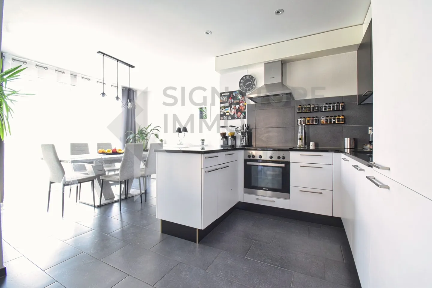 Superb 3.5 room recent apartment with large covered terrace - Photo 3 of 9