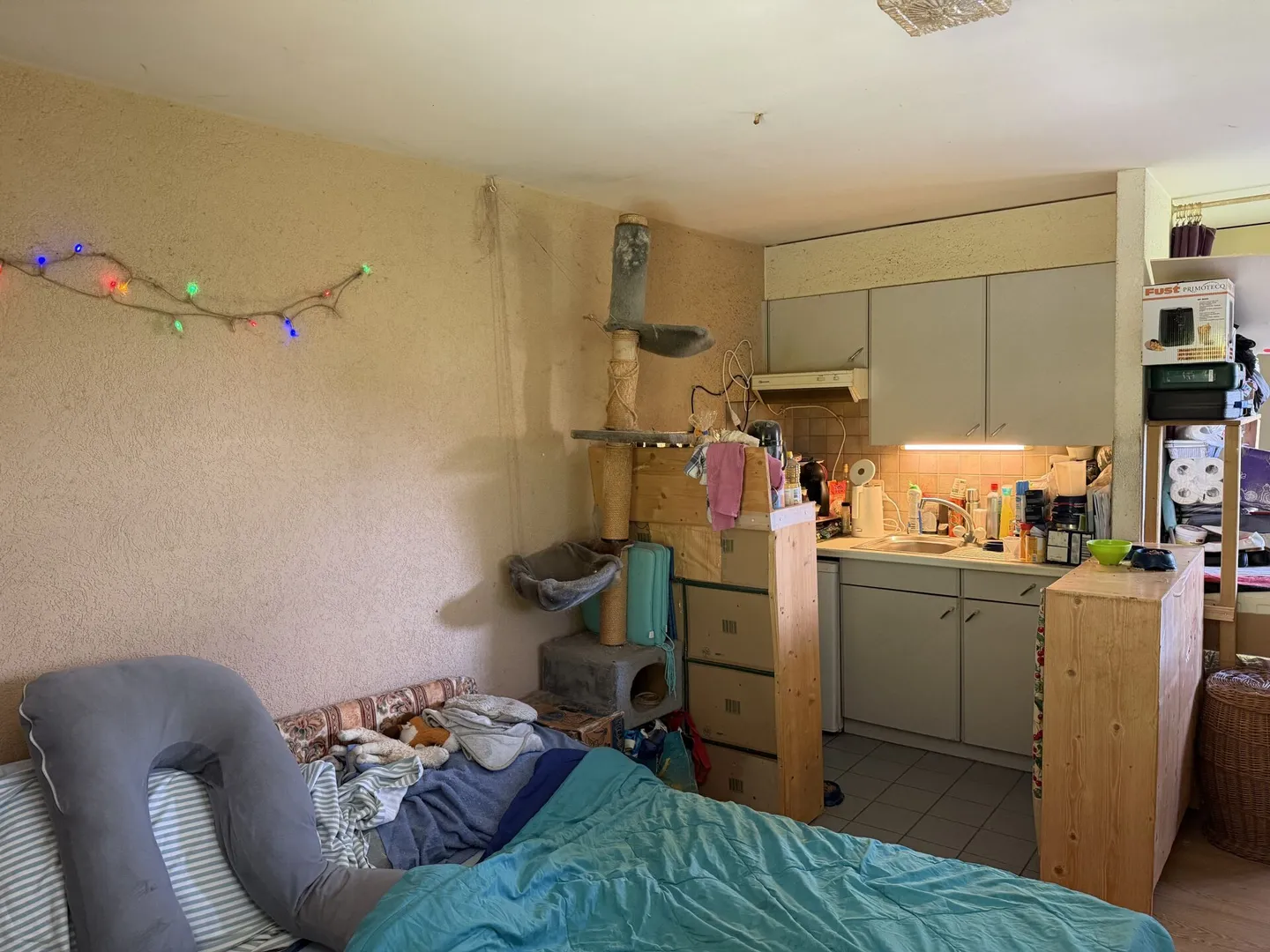 Châtel- Saint-Denis Studio 5 - B4 - Foto 5 di 7