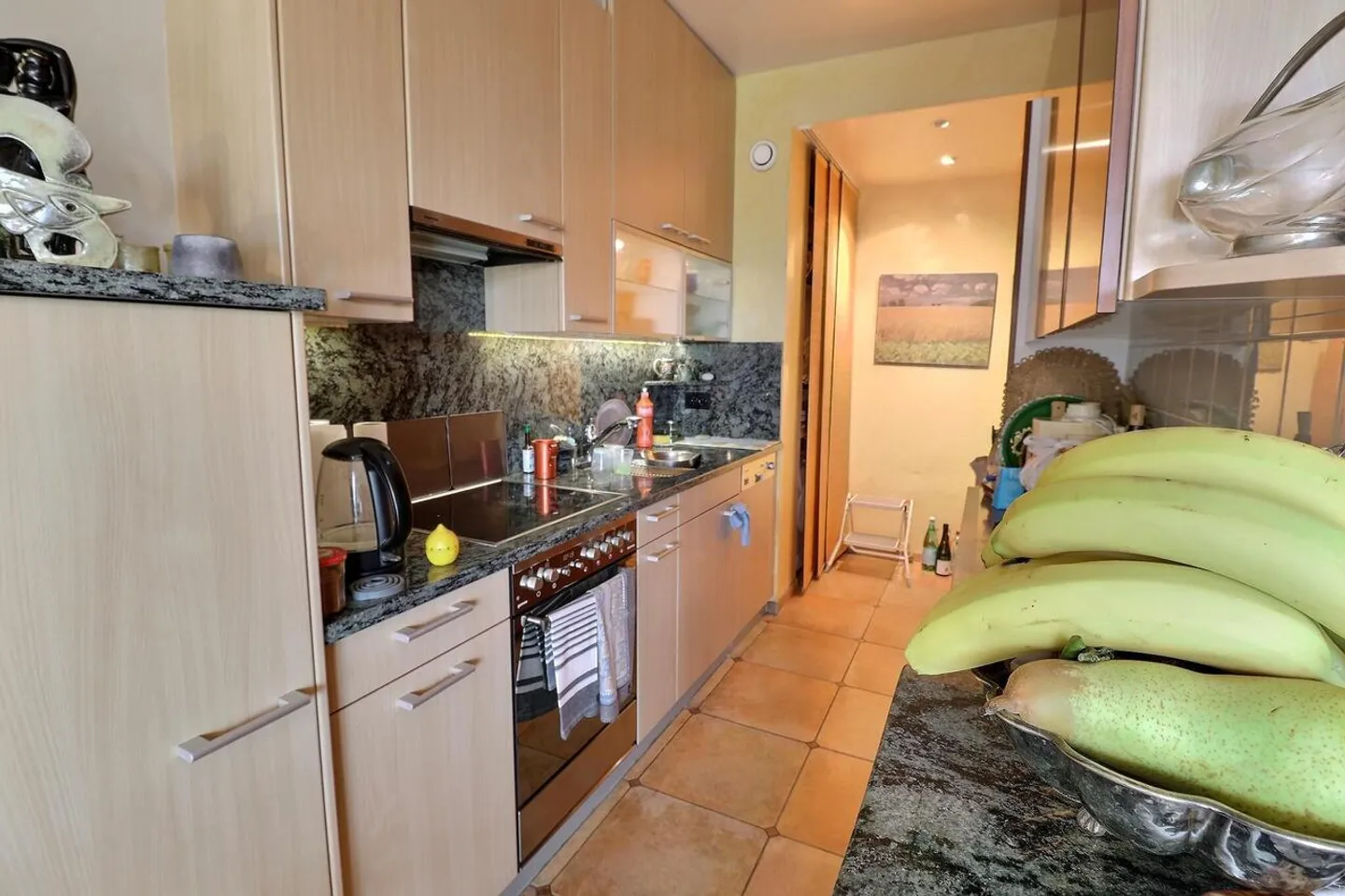 Incredible Attic Apartment in Occupied Life Annuity without Rent - Photo 3 of 13