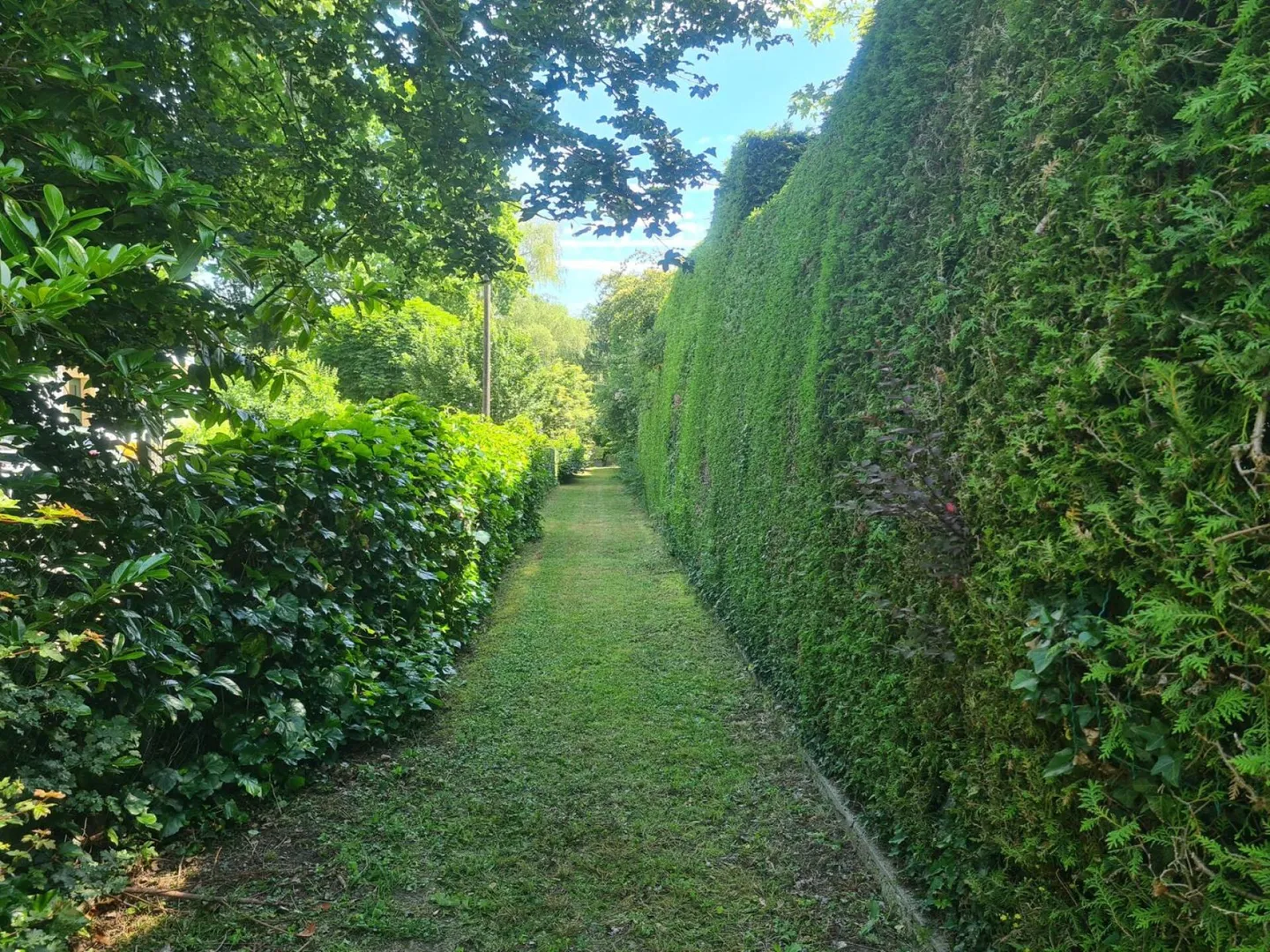 Vollständig zu renovierende Doppelhaushälfte in der Wohngegend von Corsier - Foto 1 von 1