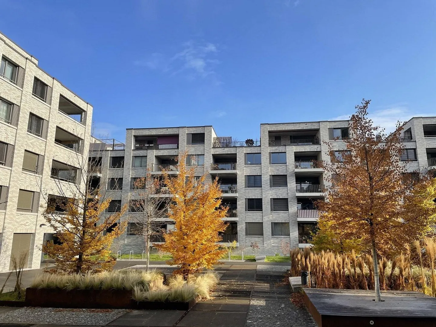 Livingandmore - culture de vie fascinante - Photo 1 sur 5