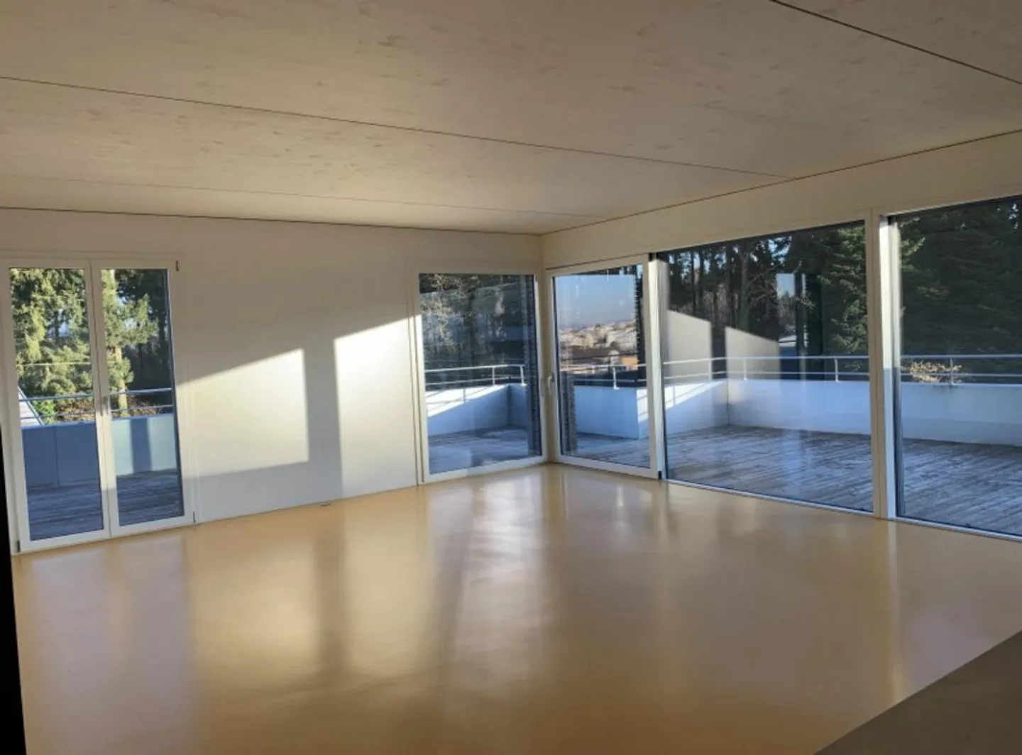 Appartement 4.5 pièces avec grande terrasse - Photo 3 sur 10