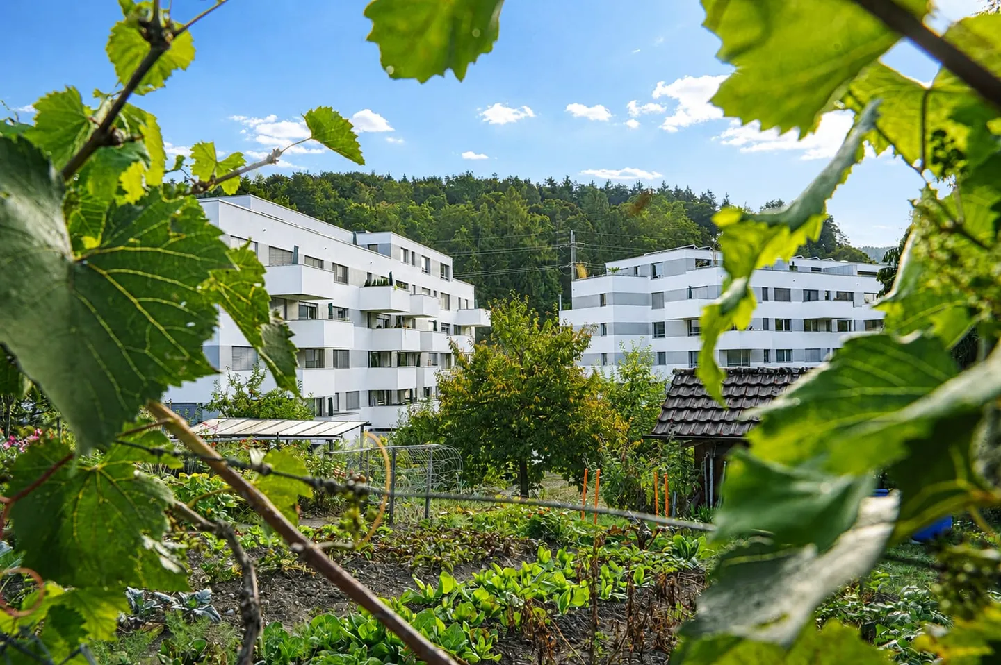 Appartamento moderno 5 locali a Winterthur - Foto 2 di 13