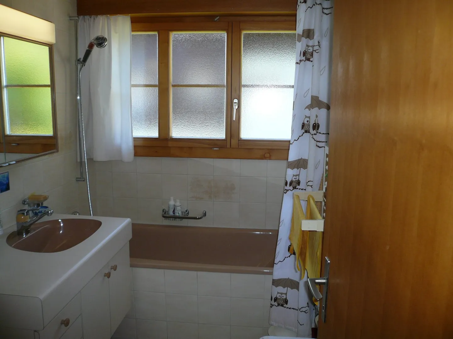 Appartamento 3.5 locali con vista libera sul lago e sulle montagne - Foto 9 di 11