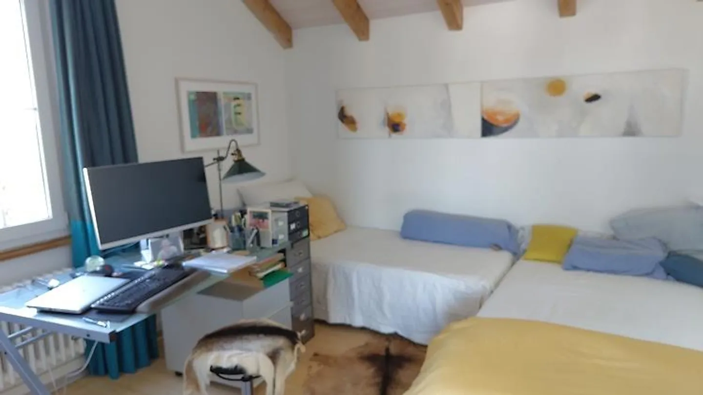 4½ ROOM HOUSE IN BERN - LIEBEFELD, FURNISHED, TEMPORARY - Photo 6 of 10