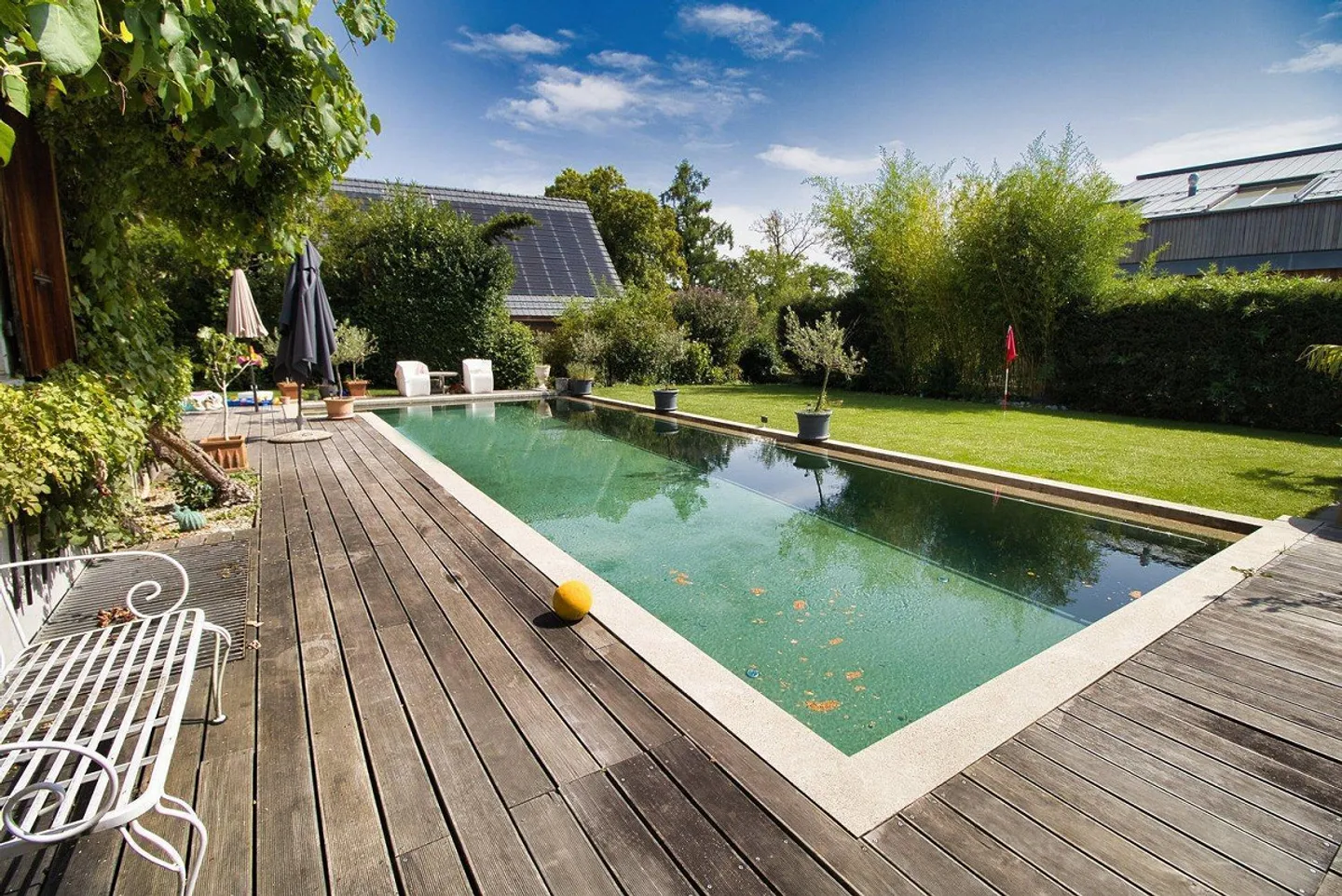 Traumhafte Lage/Garten- und Poolparadies/unmittelbar nähe Aare - Foto 7 von 17