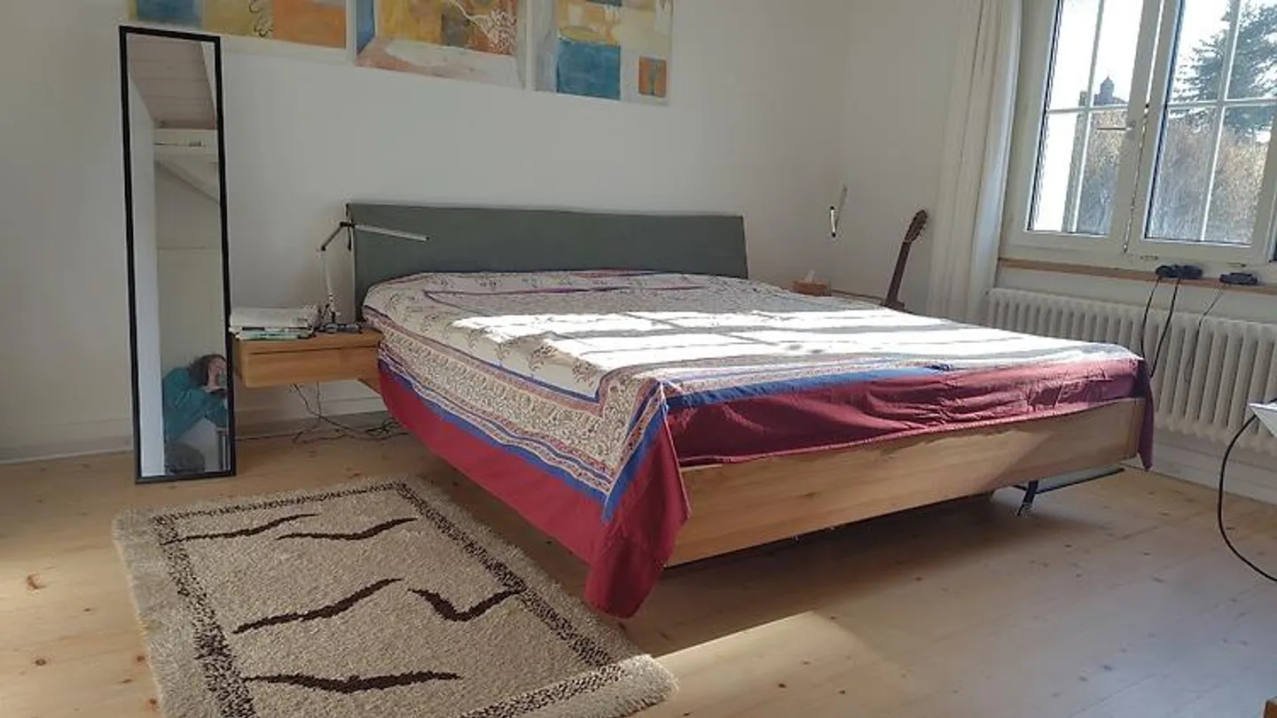 4½ ROOM HOUSE IN BERN - LIEBEFELD, FURNISHED, TEMPORARY - Photo 5 of 10