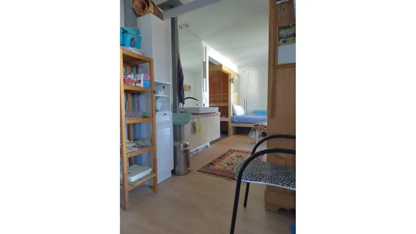 4½ ROOM HOUSE IN BERN - LIEBEFELD, FURNISHED, TEMPORARY - Photo 10 of 10