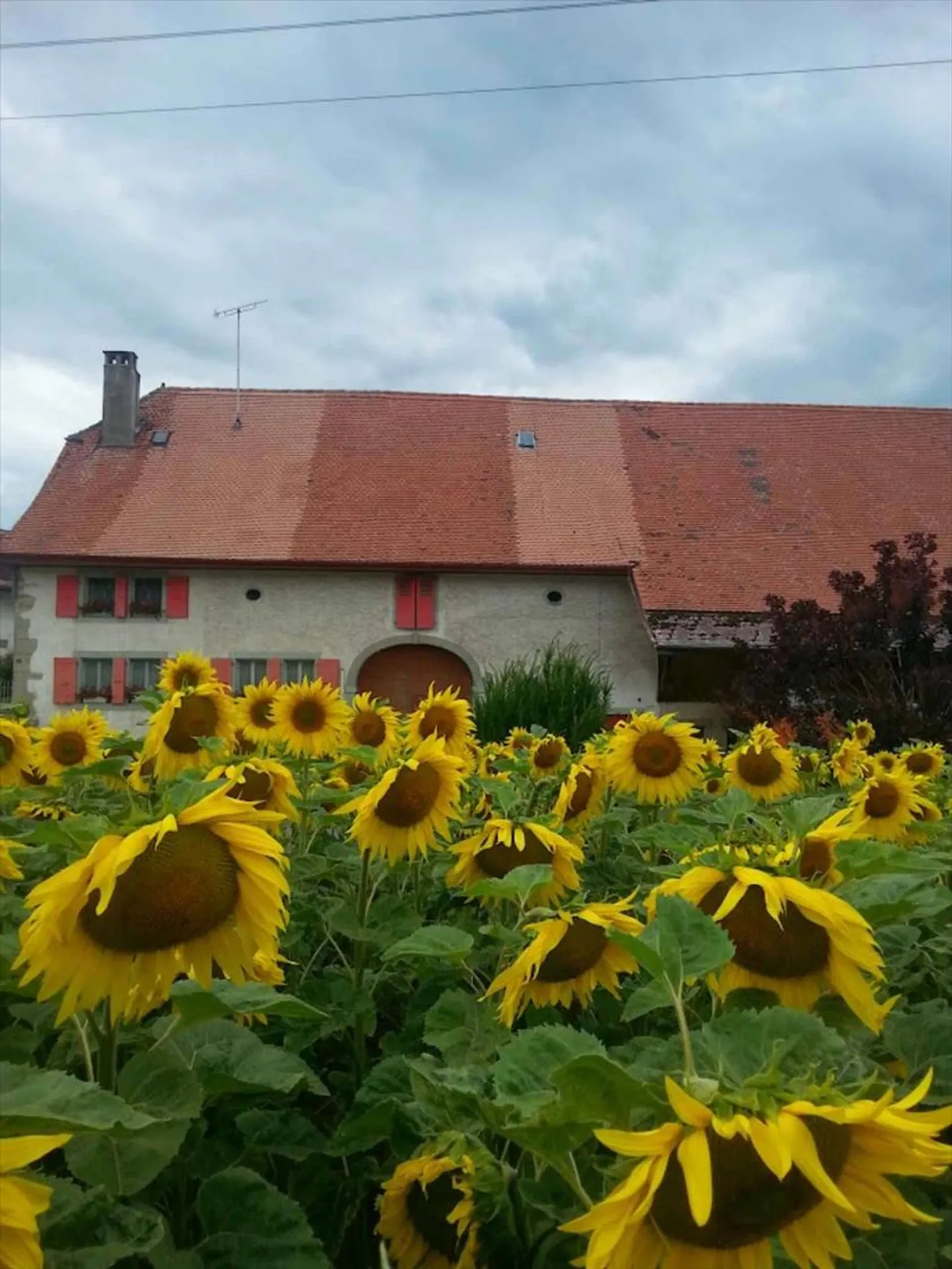 Charmantes Familienhaus mit Garten - Foto 1 von 8