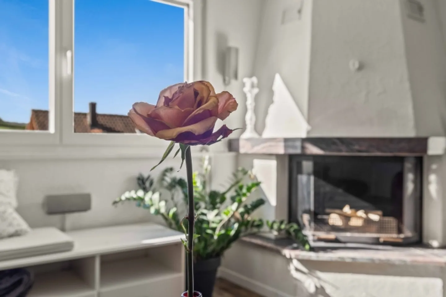 «WOHNEN NAHE DER NATUR IN ENDINGEN» - Foto 3 von 8