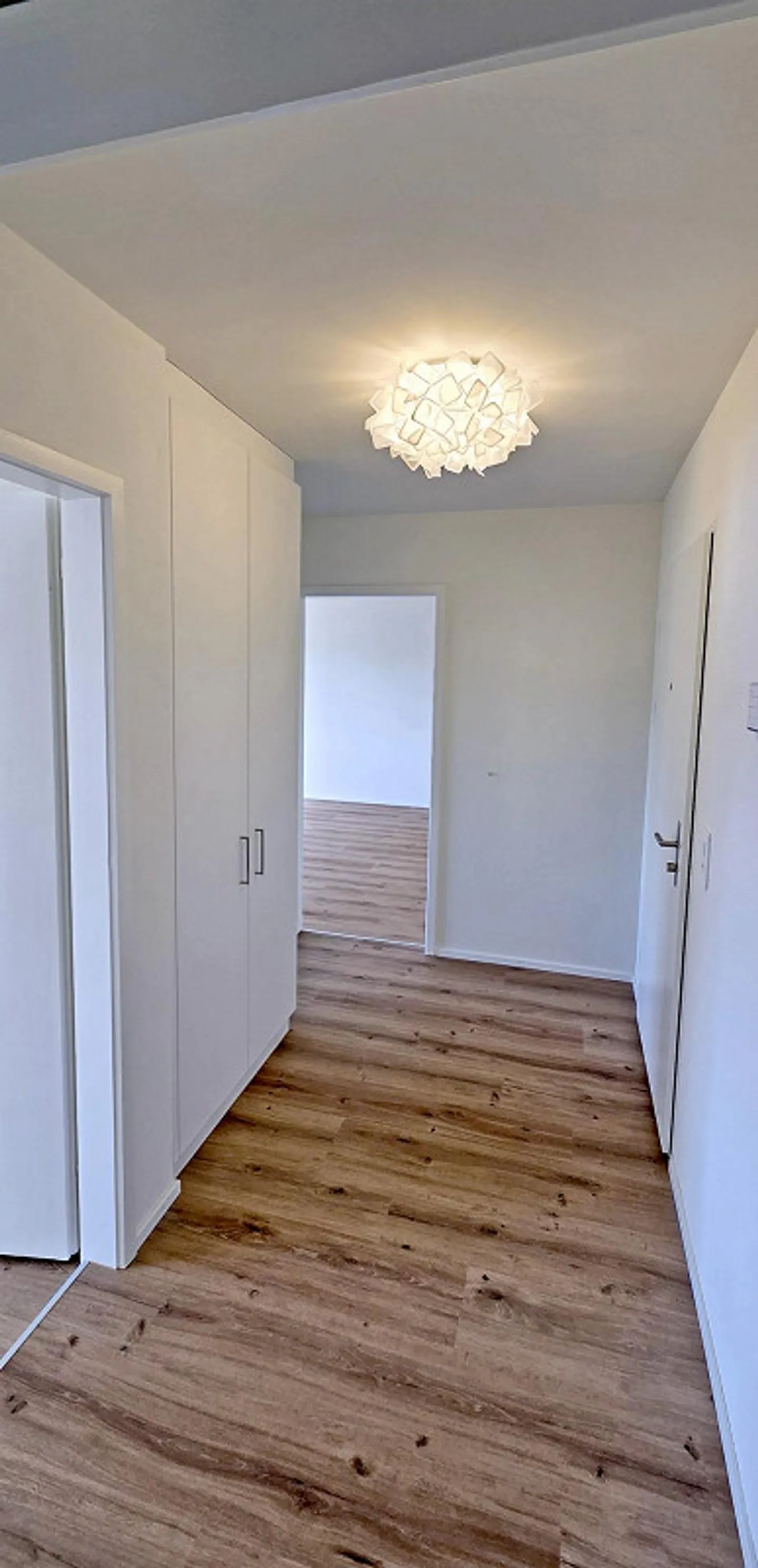 Spacious 2-room apartment with lake and mountain view, 55 m2 - Photo 6 of 8