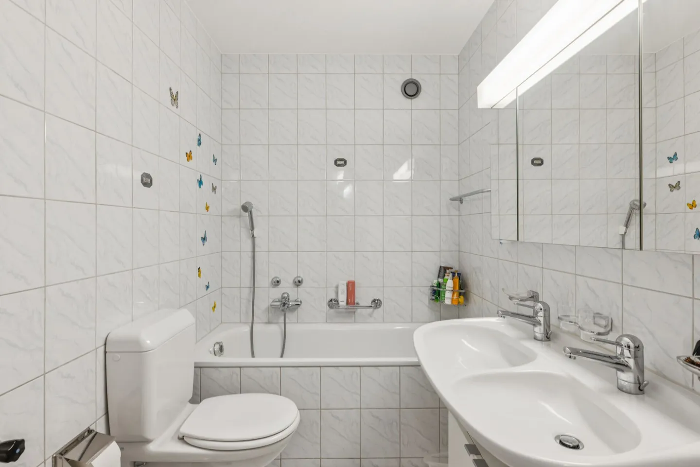 Appartamento modernizzato vicino alla città con garage e parcheggio esterno - Foto 8 di 13