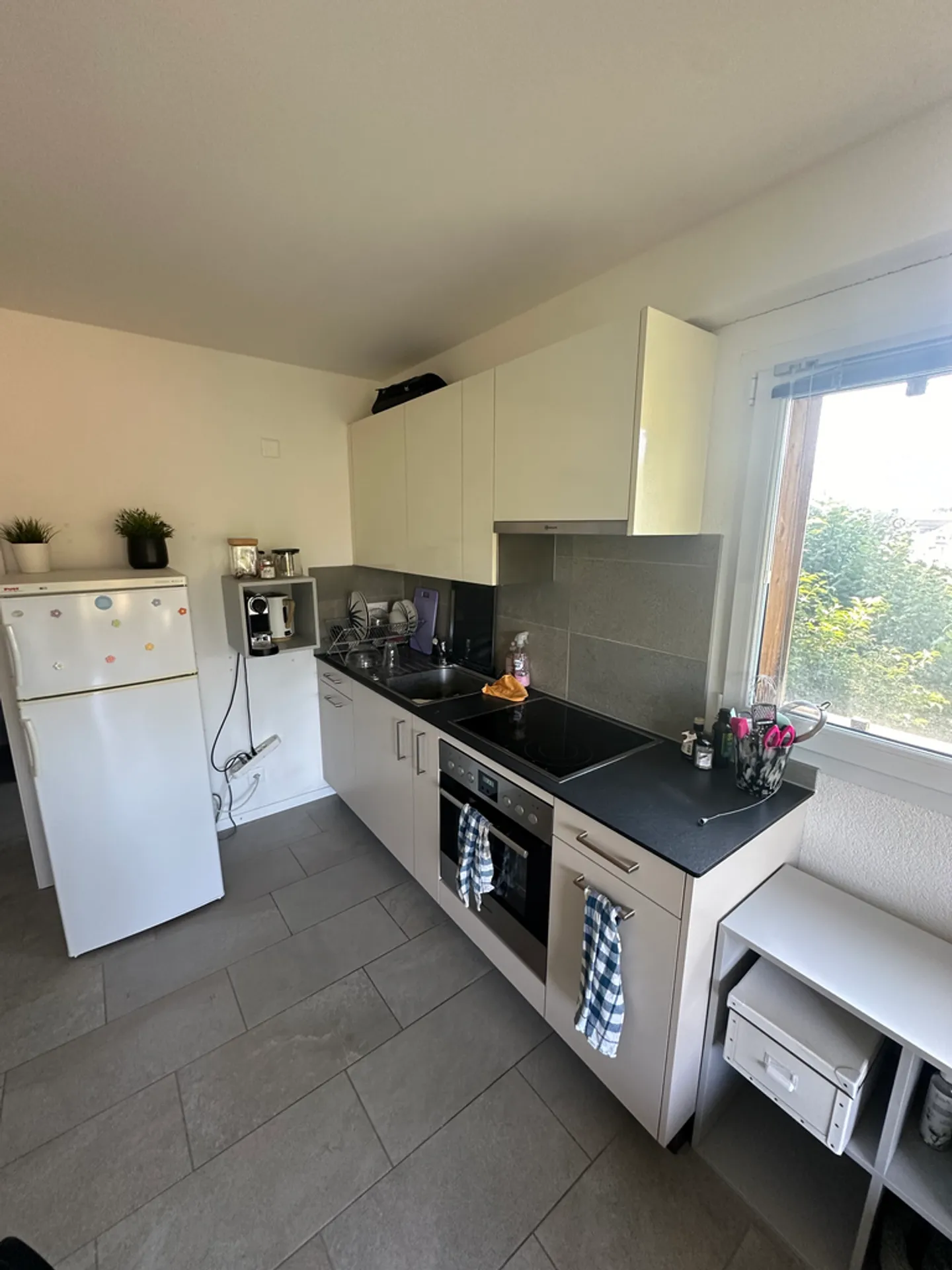 Appartamento 1.5 stanze - Foto 5 di 5