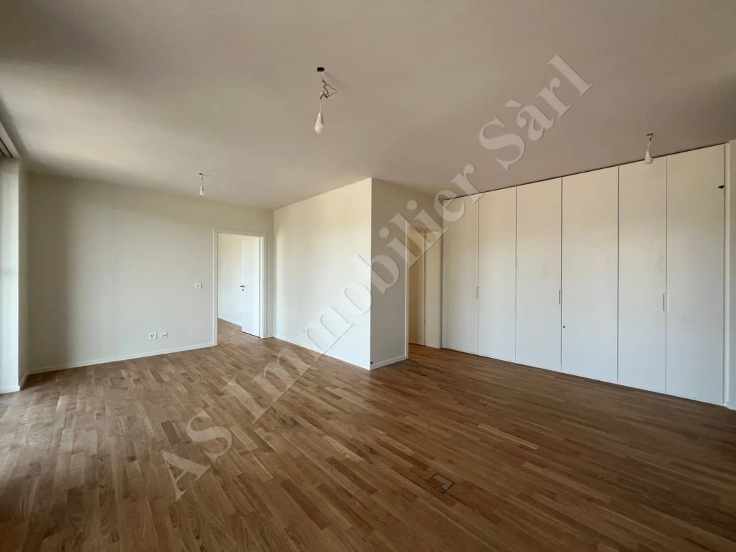 Magnifico appartamento 3.5 locali con terrazza a Central Malley - Foto 5 di 12
