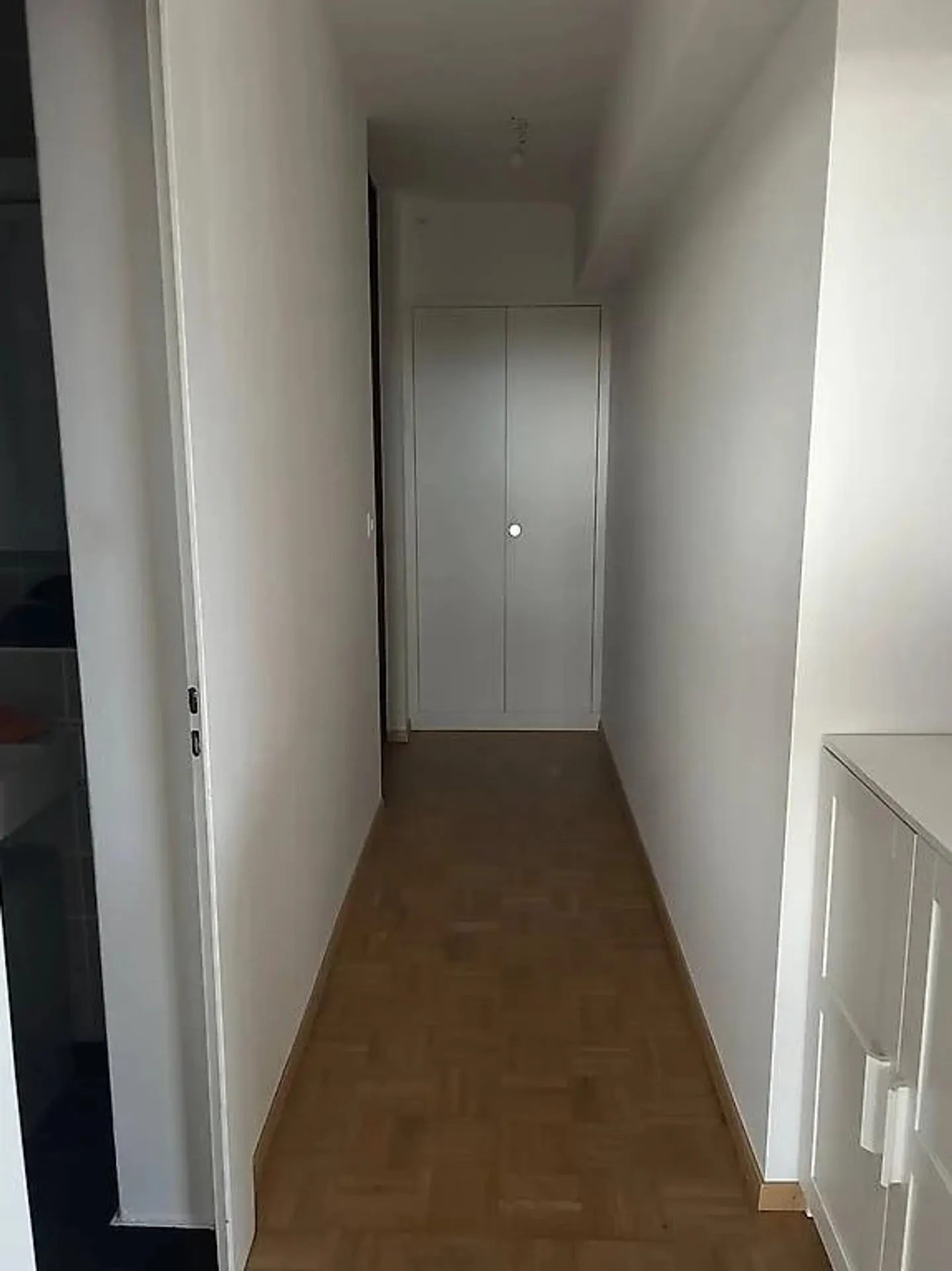 3-room apartment in Petit-Saconnex - Photo 3 of 4