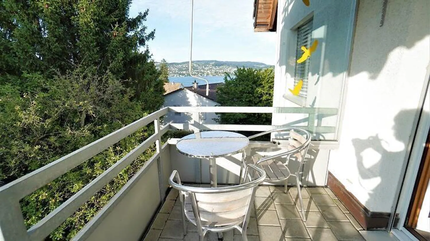 3½ ROOM APARTMENT IN OBERRIEDEN (ZH), FURNISHED, TEMPORARY - Photo 8 of 10
