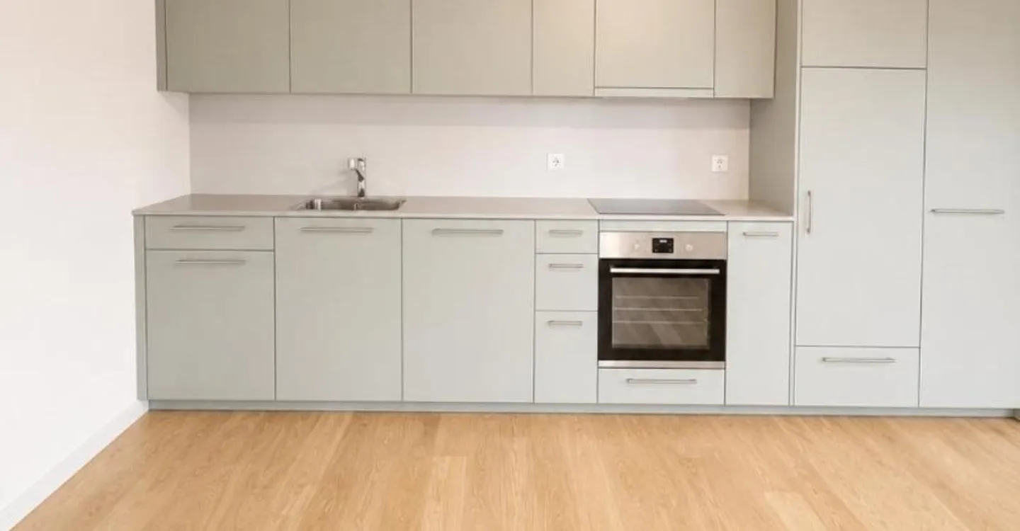 Recently renovated 2.5 room apartment - Photo 3 of 6