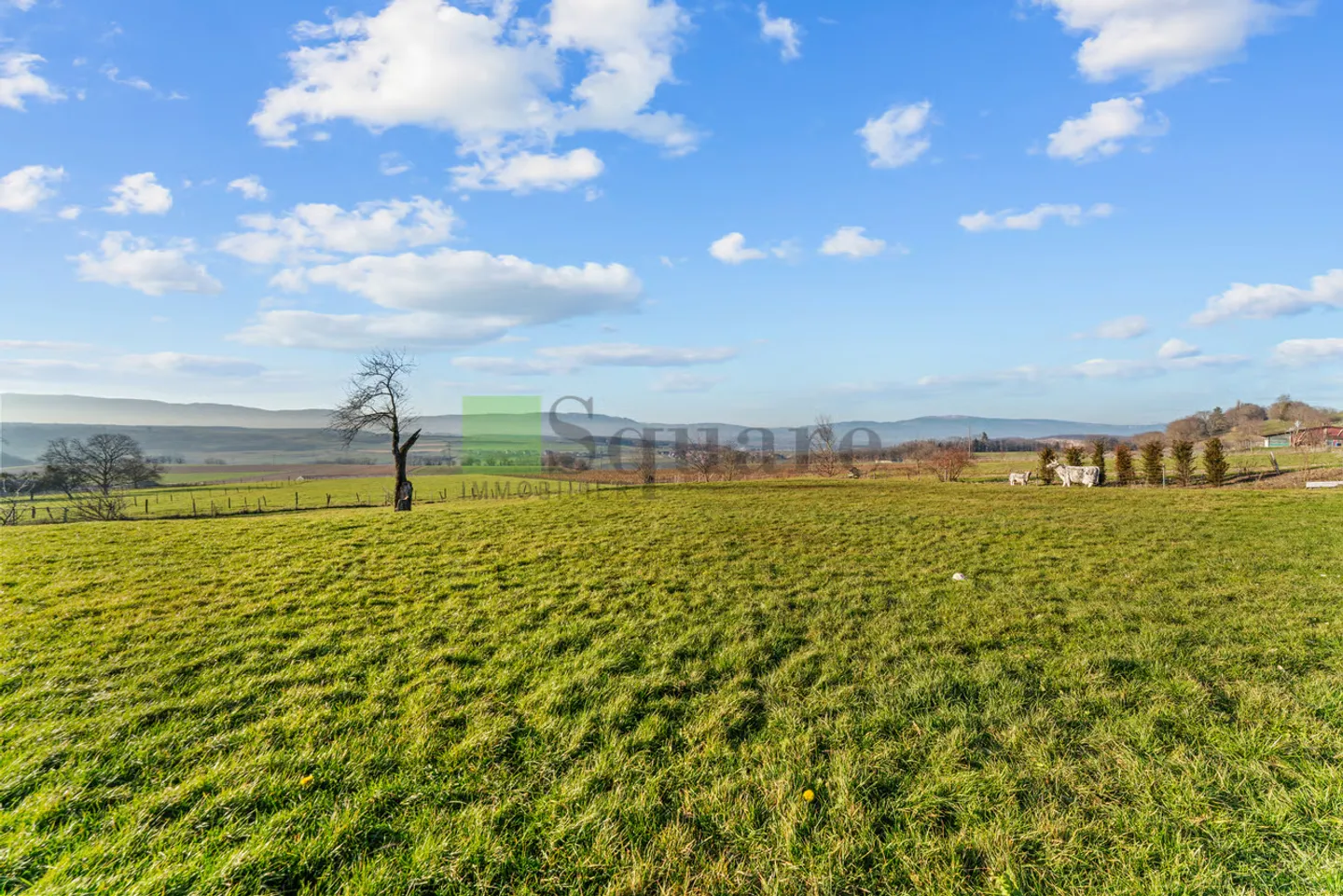 Superb renovated property with outbuildings - Photo 13 of 13