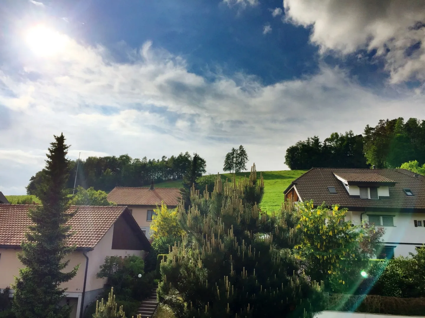 Charmante Duplexwohnung in Wil - Foto 12 von 12