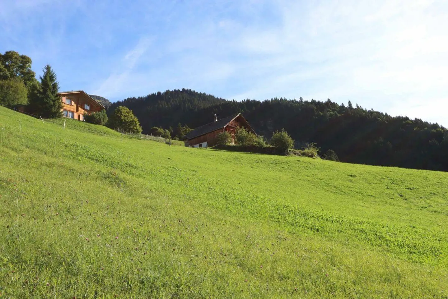 Freistehendes Ferienhaus mit Umschwung an einmaliger Lage mit traum... - Foto 3 von 15