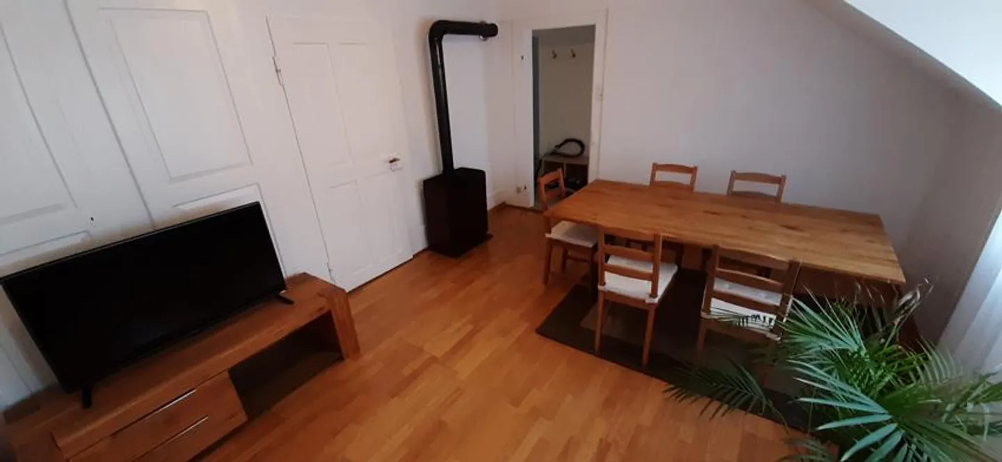 Charming 3.5 Room Apartment in 130-Year-Old House - Photo 2 of 12