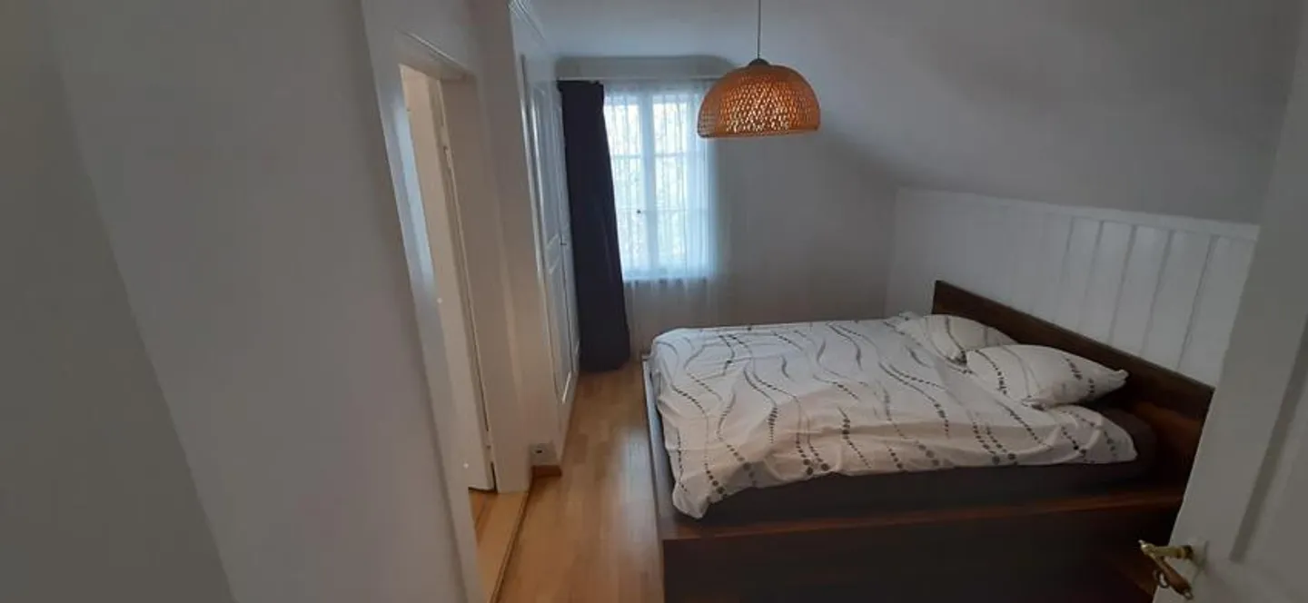 Charming 3.5 Room Apartment in 130-Year-Old House - Photo 3 of 12