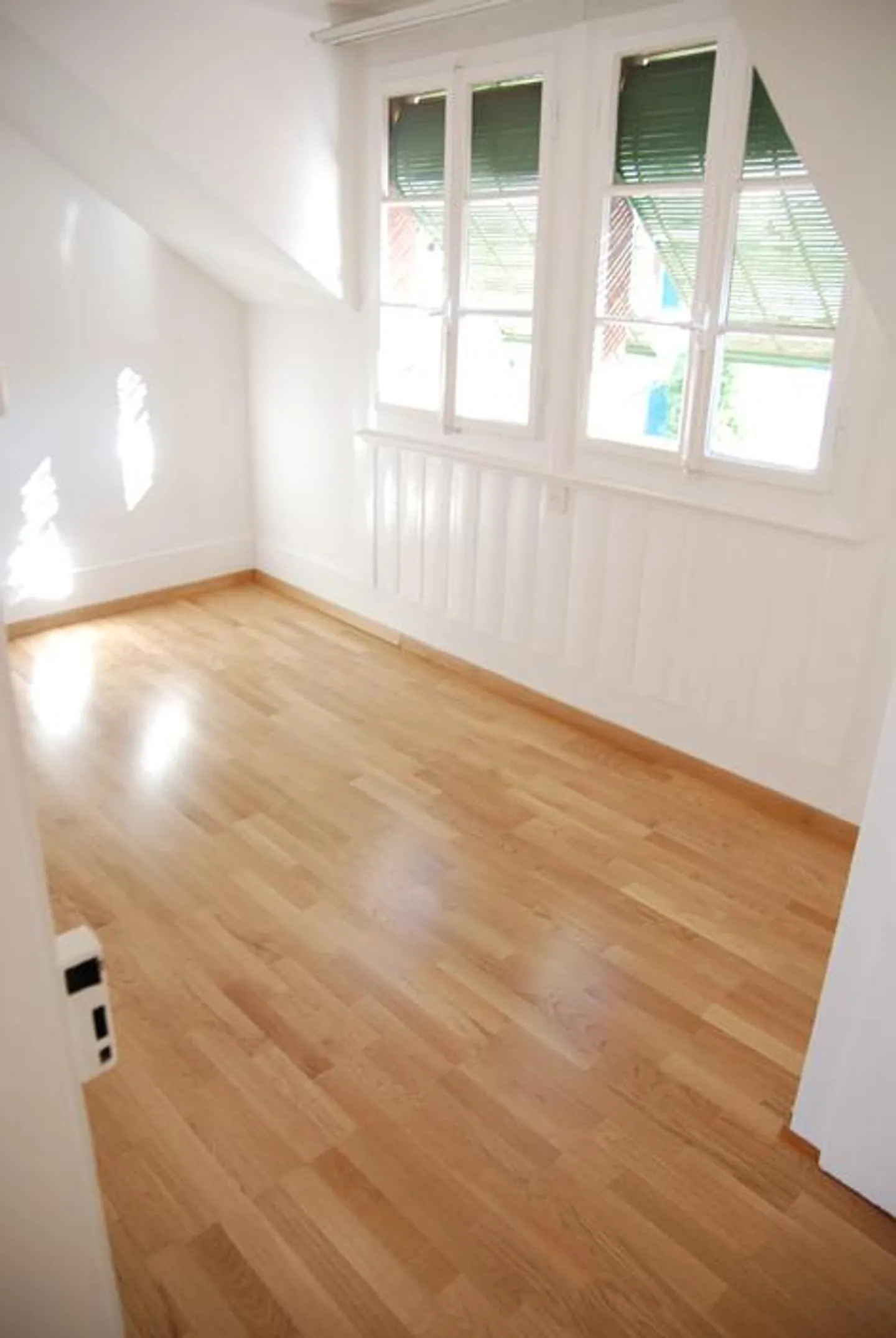 Charming 3.5 Room Apartment in 130-Year-Old House - Photo 4 of 12