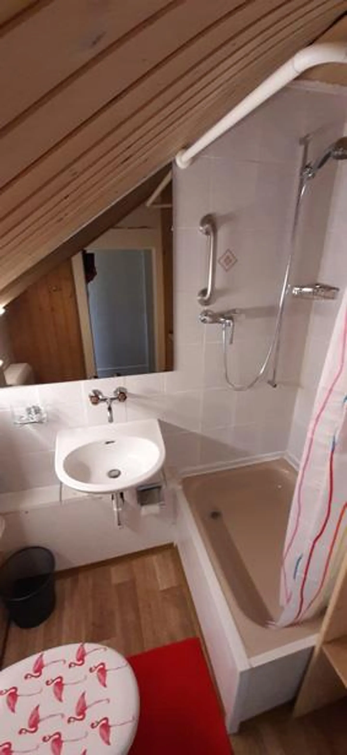 Charming 3.5 Room Apartment in 130-Year-Old House - Photo 7 of 12