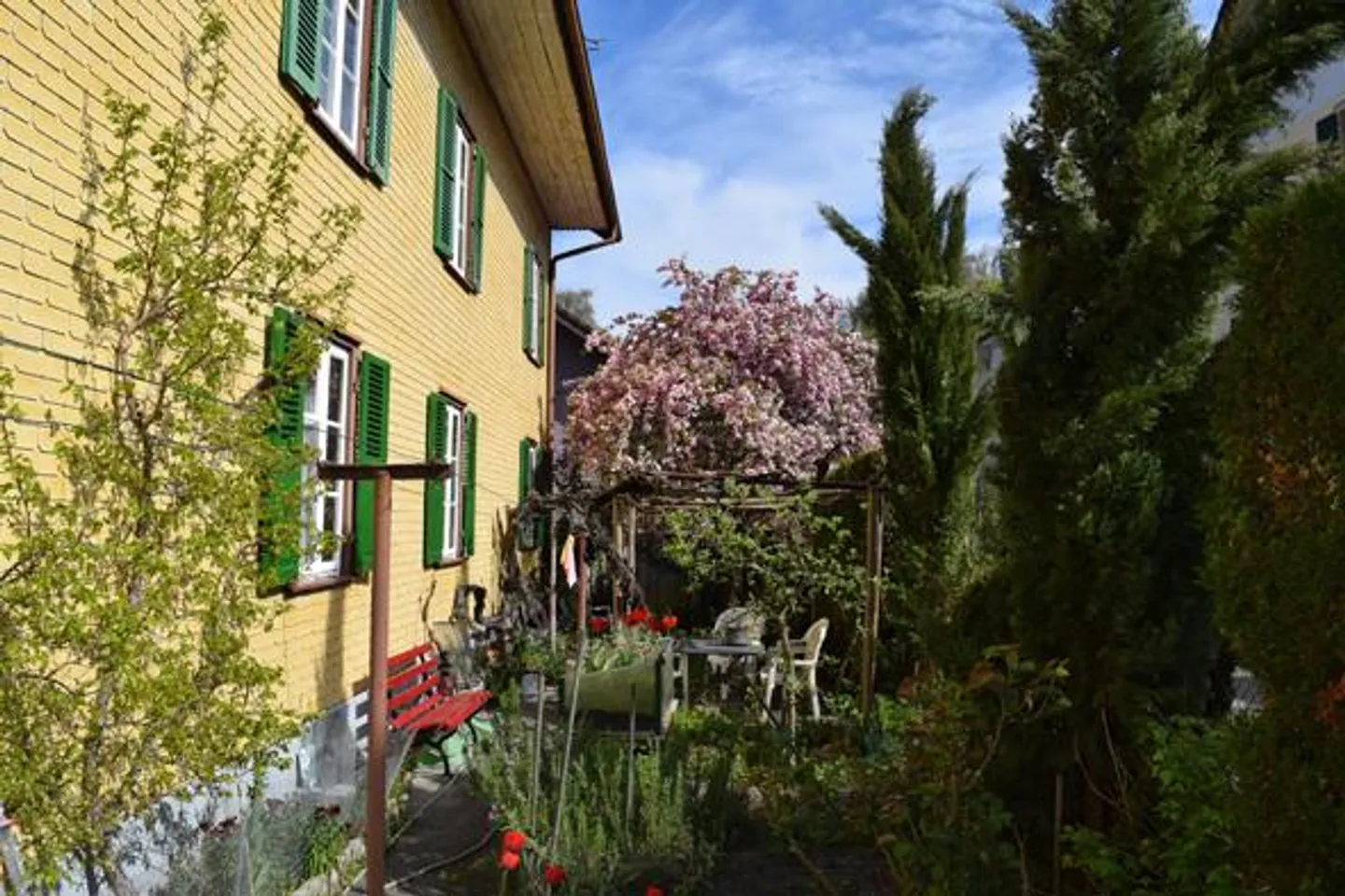 Charming 3.5 Room Apartment in 130-Year-Old House - Photo 11 of 12