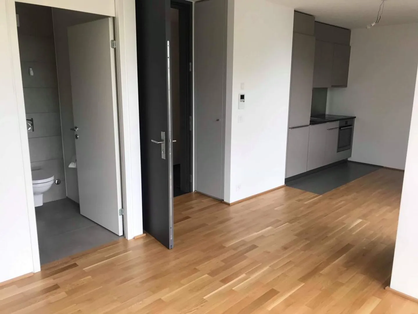 Modern Apartment in Eaux-Vives - Photo 1 of 7