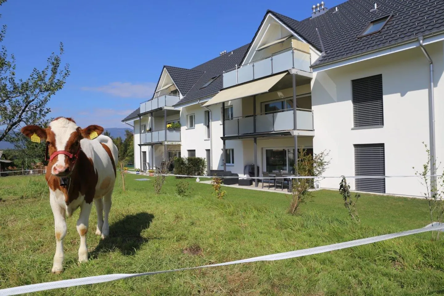 Modernes 3.5-Zimmer Apartment in Oberwil - Foto 1 von 12