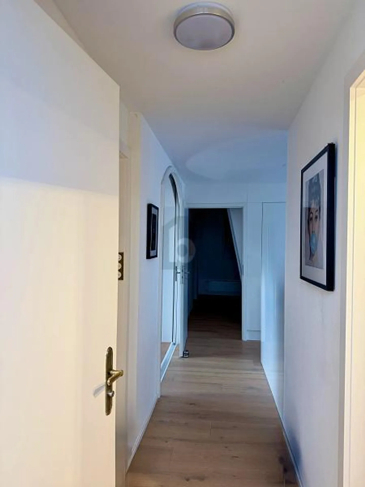 VISTA PANORAMICA DEL LAGO DI COSTANZA - Foto 3 di 5