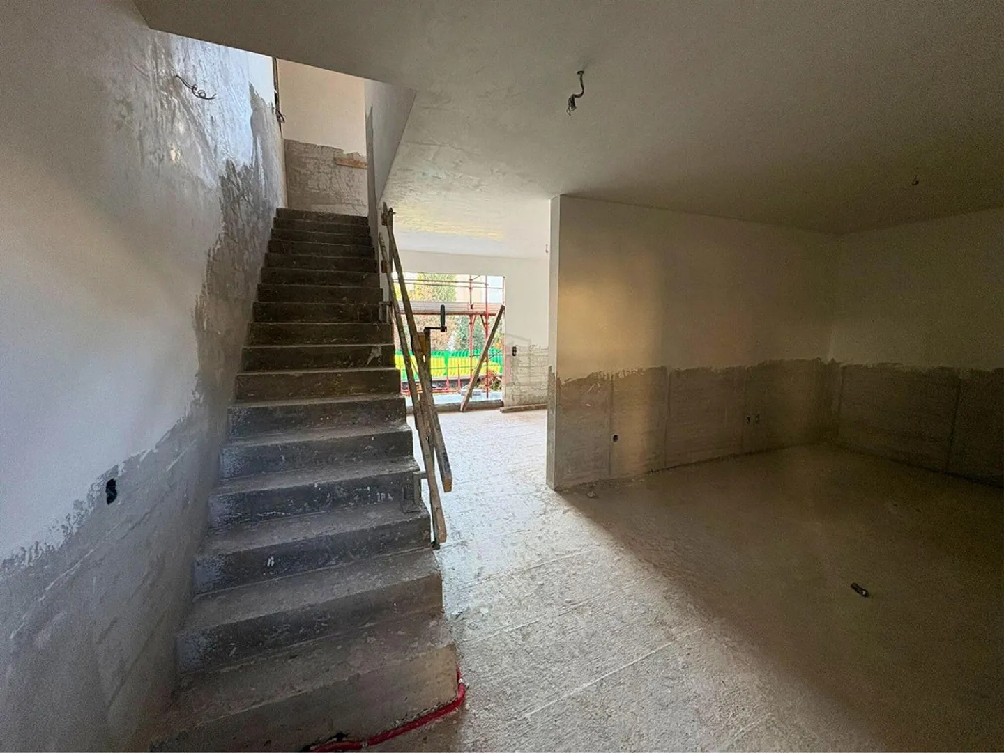 Neue Familie gesucht - Foto 4 von 13