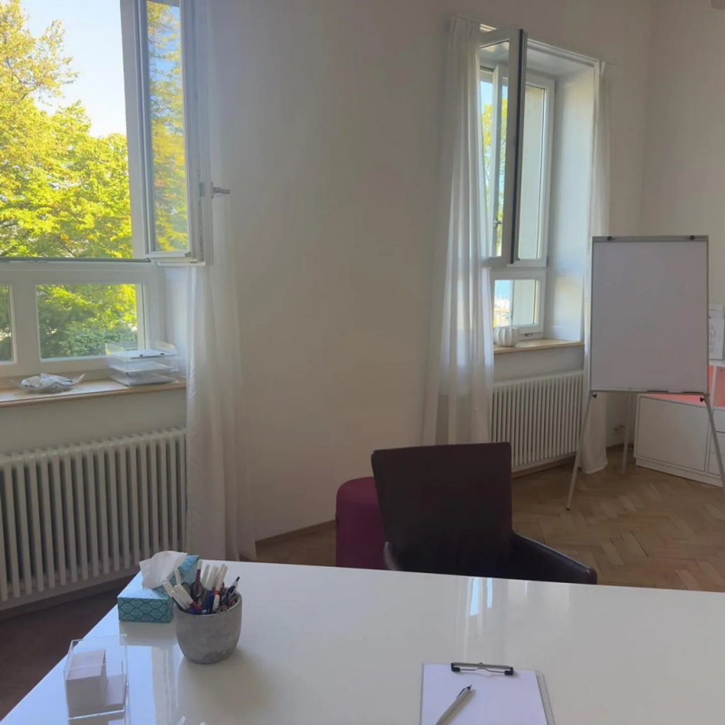 Atelier in una proprietà vincolata con vista sul lago e sulle montagne - Foto 3 di 9