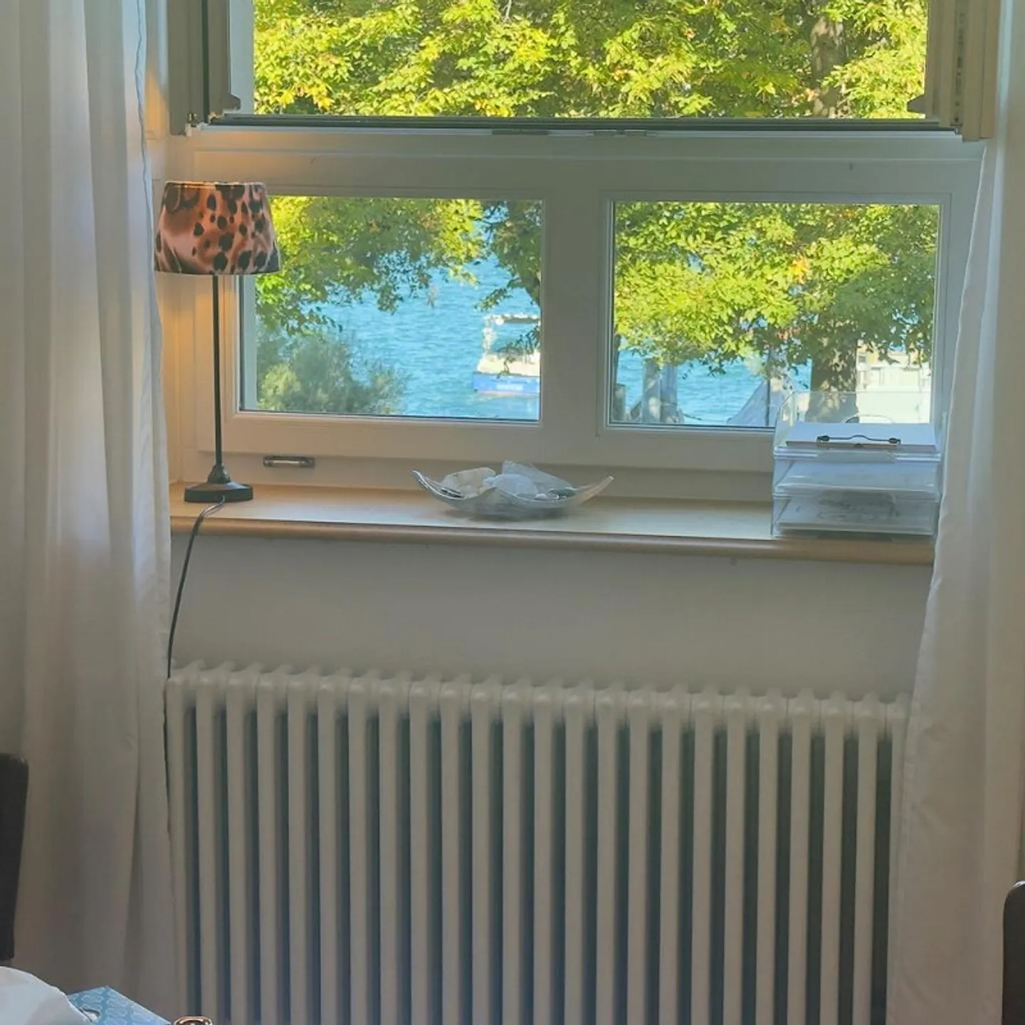 Atelier in una proprietà vincolata con vista sul lago e sulle montagne - Foto 4 di 9