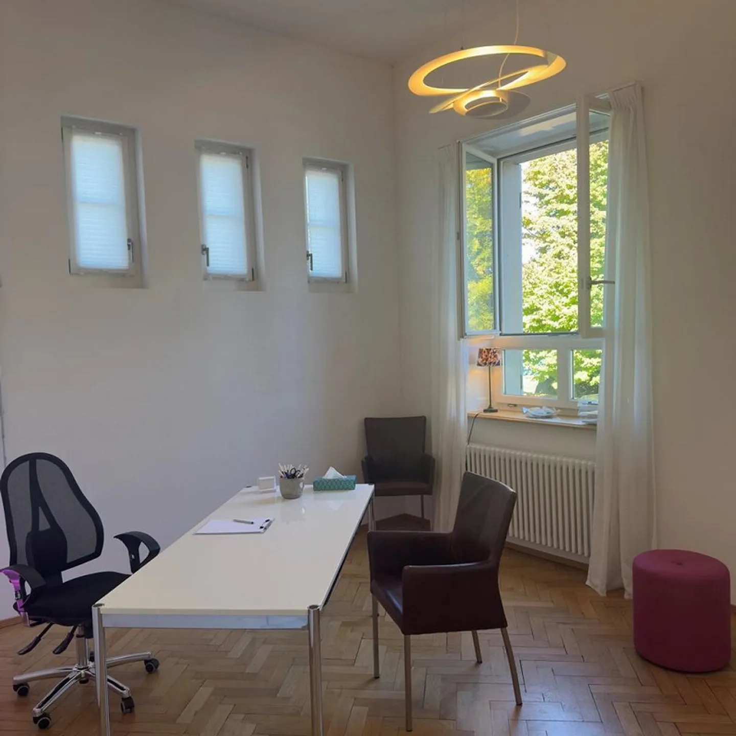 Atelier in una proprietà vincolata con vista sul lago e sulle montagne - Foto 1 di 9