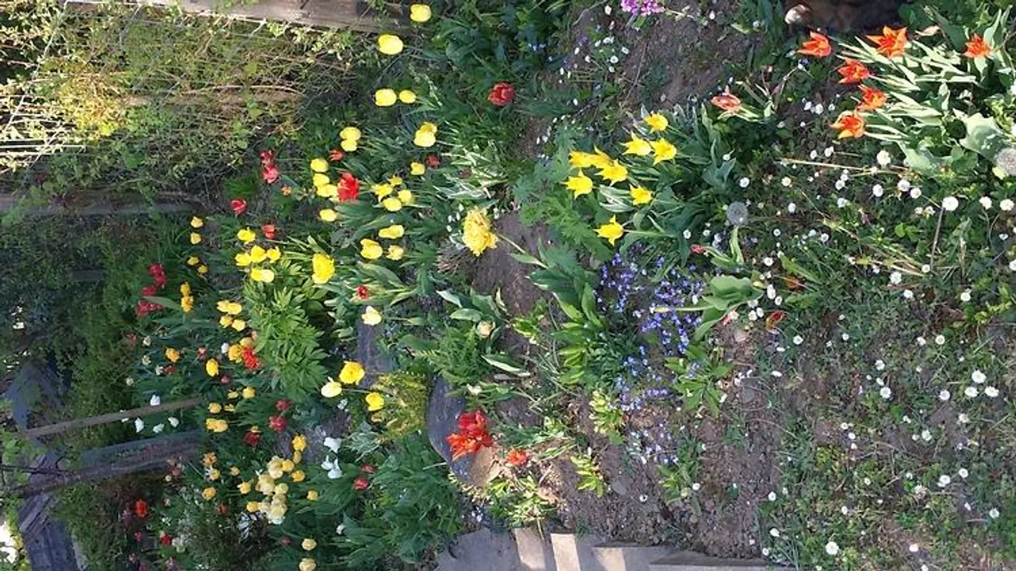 Geräumiges Einfamilienhaus in Diessenhofen - Foto 8 von 8