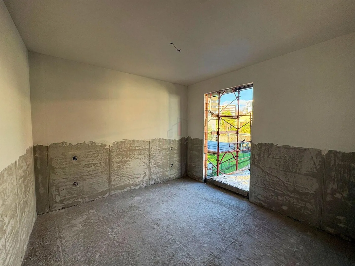 Neue Familie gesucht - Foto 7 von 13