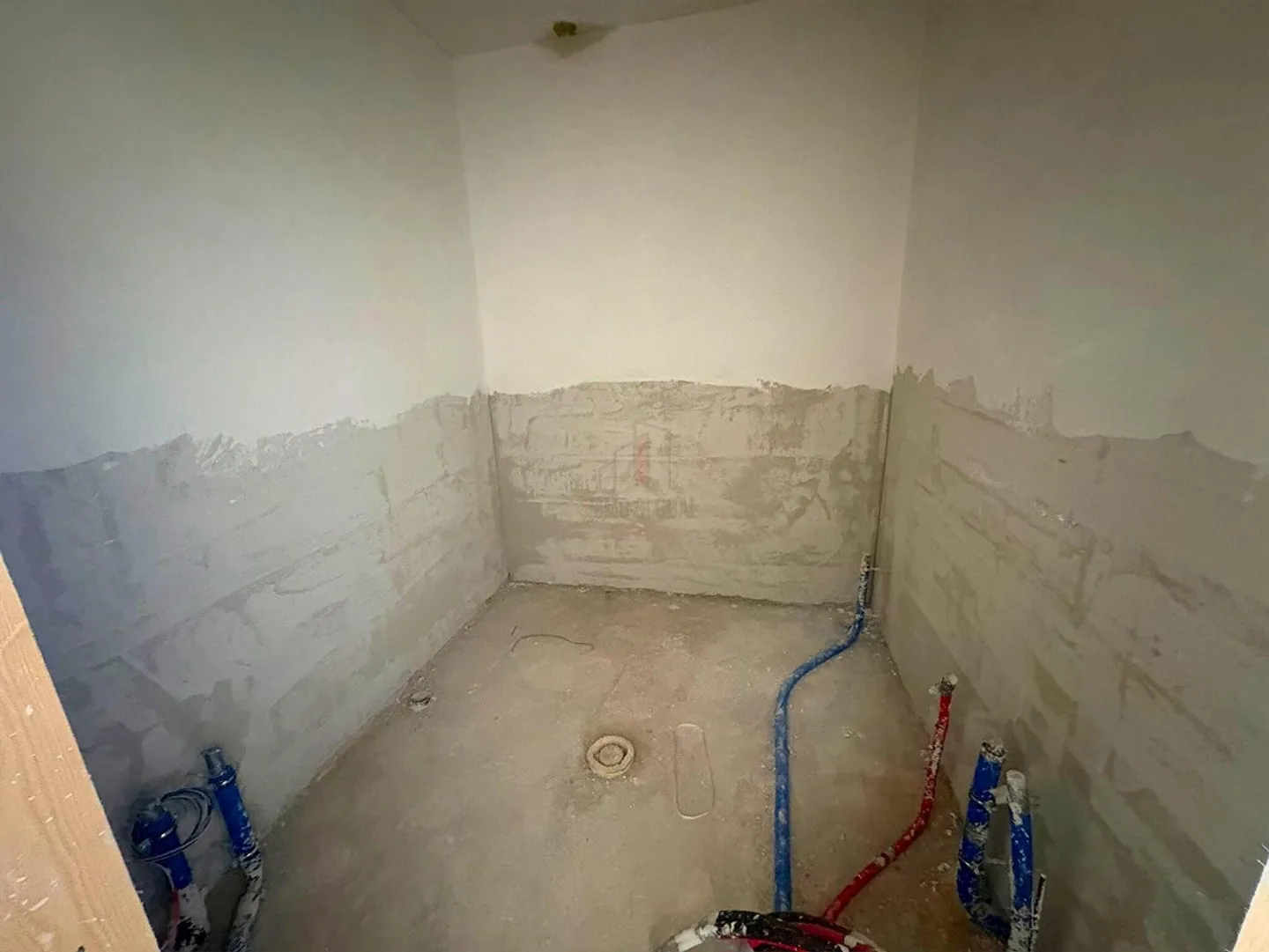 Neue Familie gesucht - Foto 11 von 13