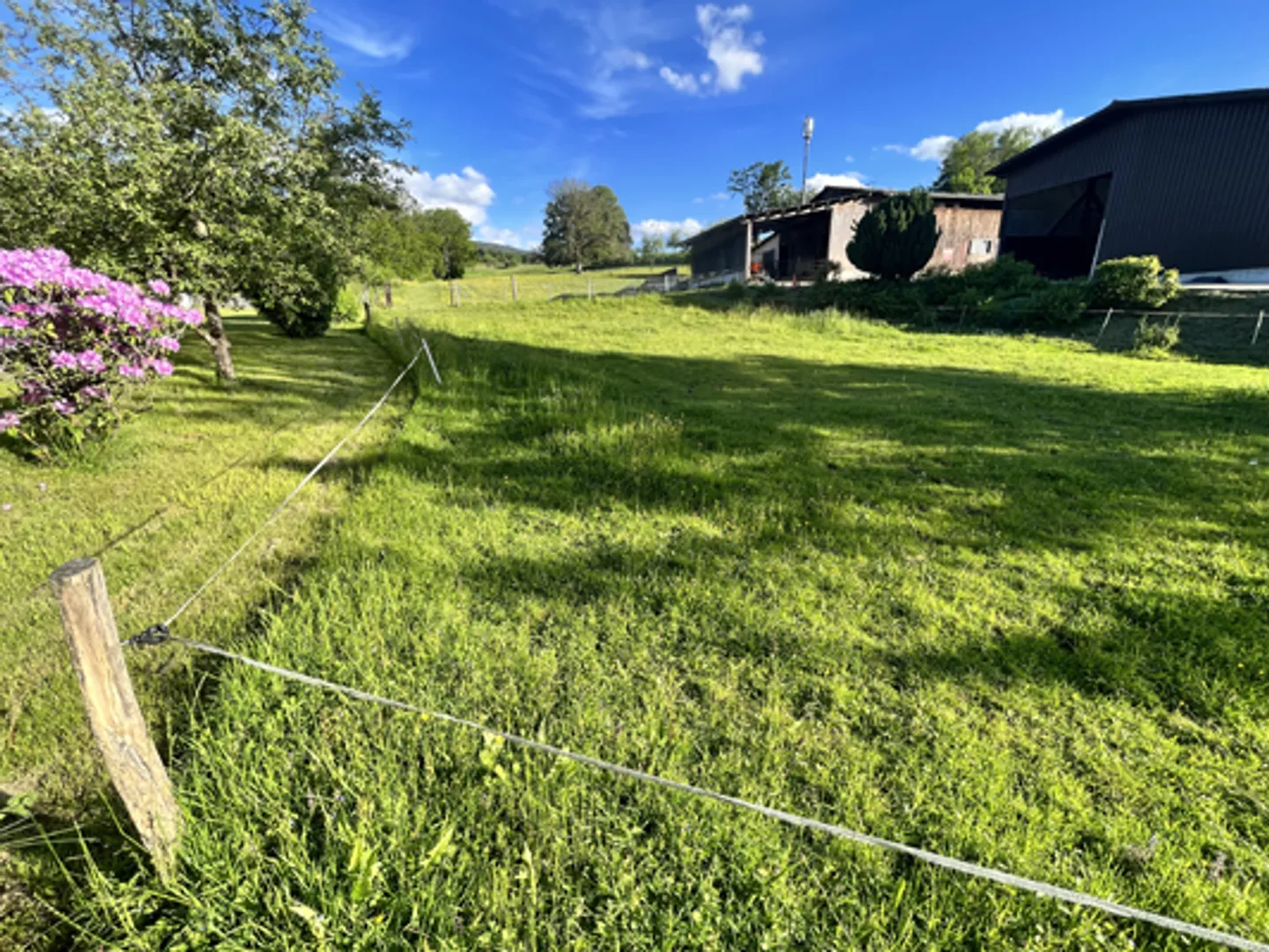 Terraced House 11 Rooms - Photo 9 of 30