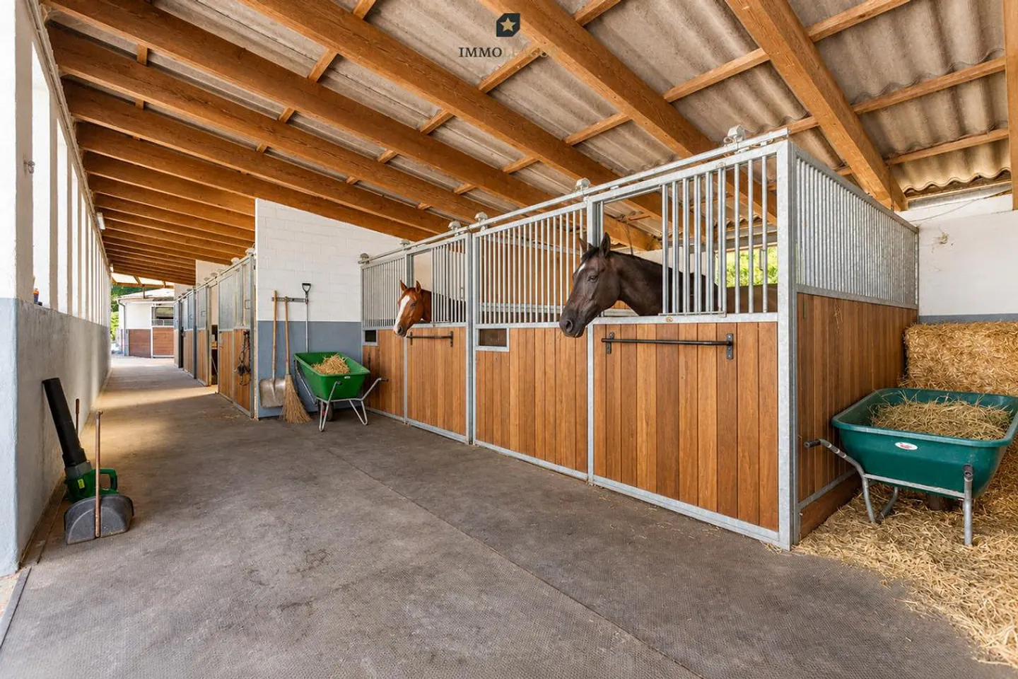 Exclusive Equestrian Property - Photo 10 of 22