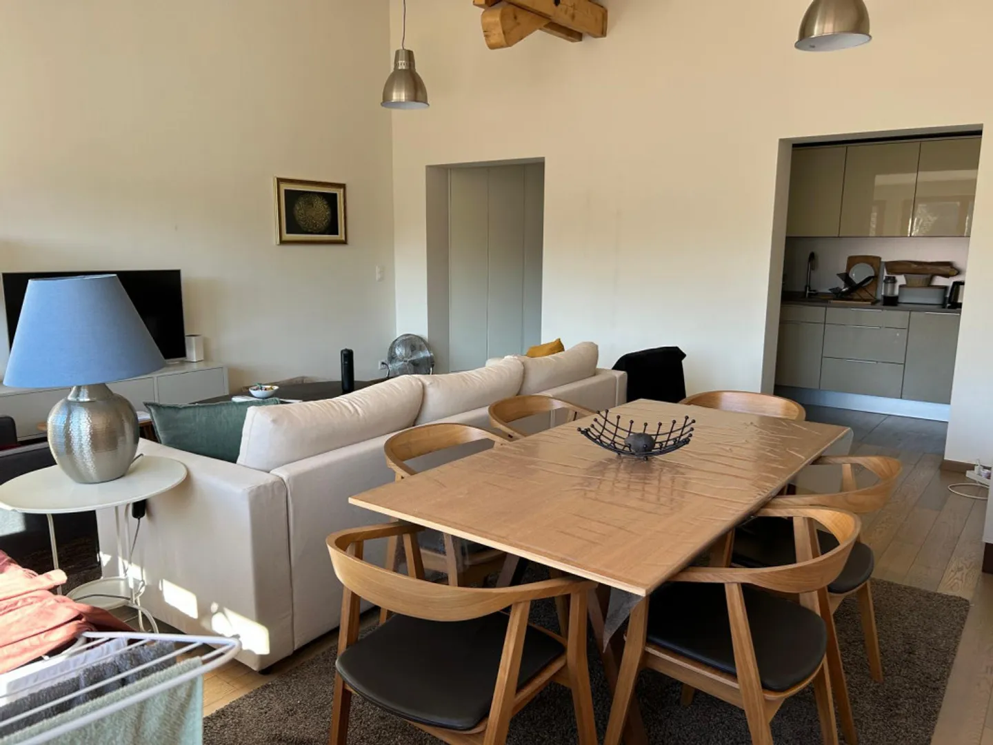 Appartamento Attico Arredato a Ginevra - Foto 2 di 6