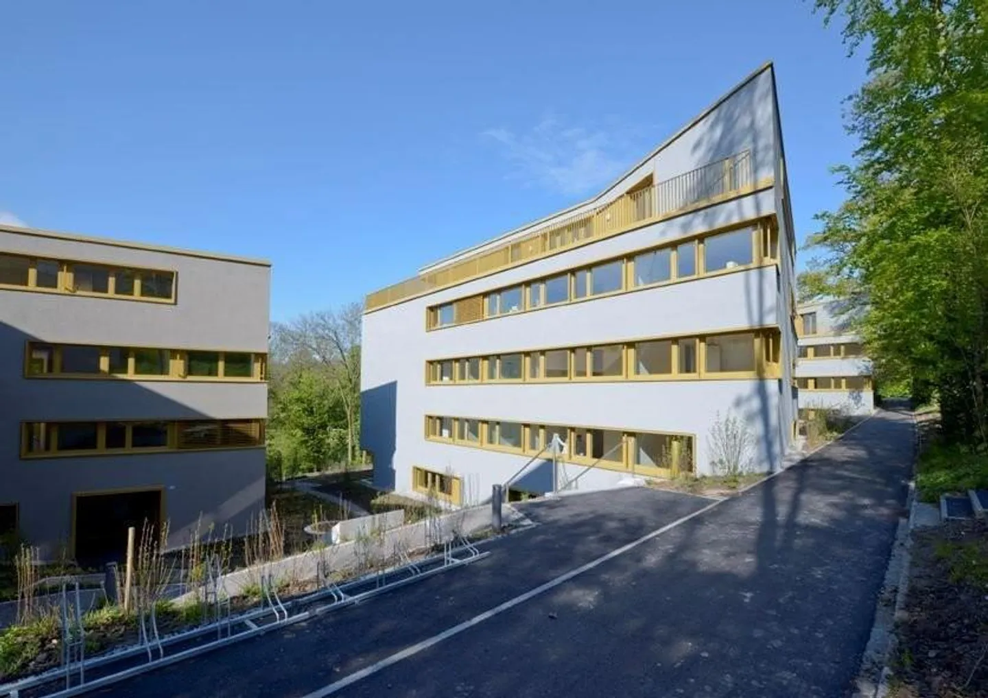 Modernes Apartment an der Limmat - Foto 1 von 10