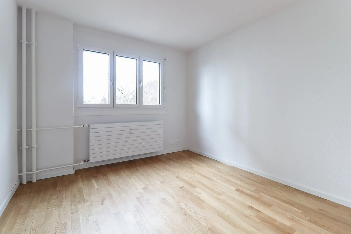 Klein aber fein! - Foto 4 von 7