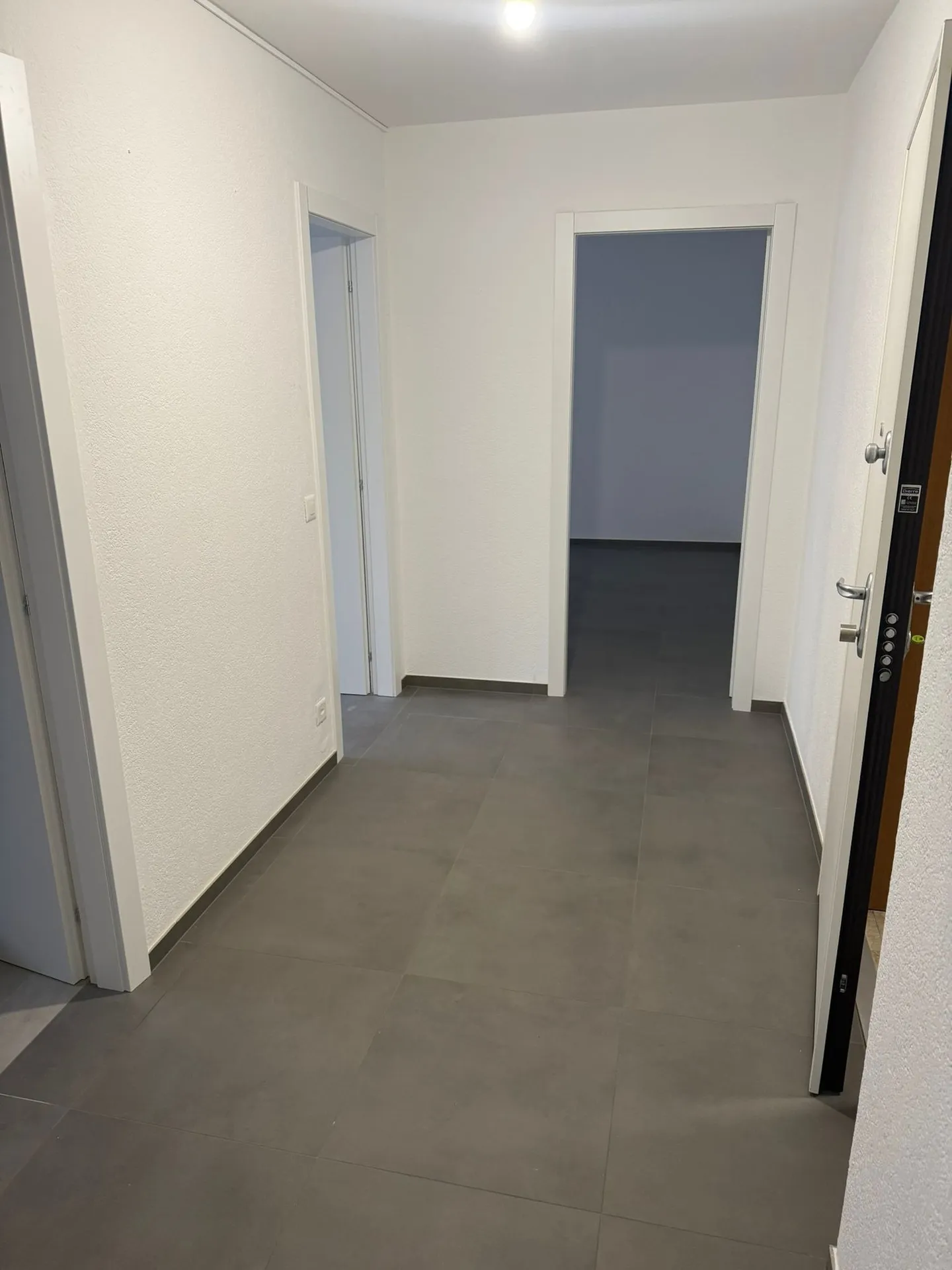 Pregassona - Appartement de 2,5 pièces entièrement rénové - Photo 2 sur 7
